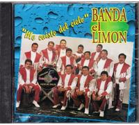 Banda Limon - Me Caiste Del Cielo