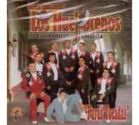 Banda Los Huejotenos (Puras Tocadas)