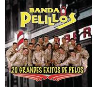 Banda Pelillos - 20 Grandes Exitos De Pelos