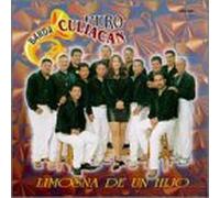 Banda Puro Culiacan - Limosna De Un Hijo