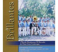 Banda Sinaloense El Recodo 20 Grandes Exitos 100 Anos De Musica [IMPORT]