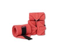 Bandages pour peluche LeMieux Toy Pony Rouge TU