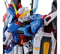 Bandai Hobby Bandai 1/144 RG ZGMF-X42S Destiny Gundam (finition titane)