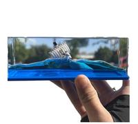 Bandai Hobby Modèle de Bateau One Piece - Going Merry,Bouteille de Dérive de Liquide,Modèle Fluide de Bateau en Acrylique,Soulagement du Stress,pour Ornement de Bureau de décoration