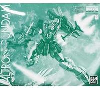Bandai Master Grade 1/100 XXXG-01S2 Altron Gundam EW Premium BANDAI Limited