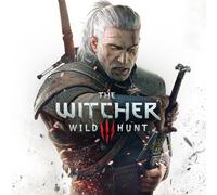 BANDAI NAMCO The Witcher 3 Wild Hunt