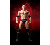 BANDAI WWE THE ROCK FIGUARTS ACTION FIGURINE