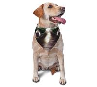 Bandana amusant avec lunettes de soleil vertes pour chien et chat de petite et moyenne taille, accessoire photo, bandana triangulaire réglable et lavable