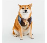 Bandana amusant en forme d'écureuil pour chien - Taille M - Réglable - Triangle - Double écharpe réversible - Lavable - Mouchoir quotidien pour chien de taille moyenne et grande - Cadeau