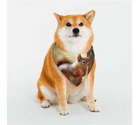 Bandana amusant pour chien écureuil grande écharpe réglable triangle bavoirs double foulard réversible lavable mouchoir quotidien pour chien de taille moyenne et grande taille cadeau
