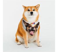 Bandana amusant pour chien - Petite écharpe triangulaire réglable - Double écharpe réversible lavable - Mouchoir quotidien pour chien de taille moyenne et grande - Cadeau