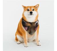 Bandana amusant pour chien - Taille M - Réglable - Triangle - Double écharpe réversible - Lavable - Mouchoir quotidien pour chien de taille moyenne et grande - Cadeau