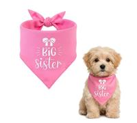 Bandana bleu réglable pour chien Big Brother - Accessoire de costume pour chiens de taille moyenne et grande - 70 x 34 cm (1, grande sœur rose, taille unique)
