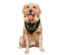 Bandana Chien Chats 30X70Cm Îles Canaries, Logo du Drapeau des Canaries Serviettes Triangle pour Animaux Unique Style Triangle Élégantes De Chien pour Animal De Compagnie