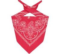 Bandana Classic Paisley by Levis® rouge One Size