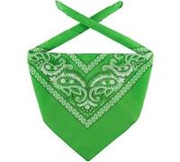 Bandana Classique by Lipodo vert