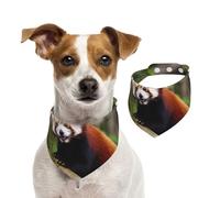 Bandana d'été pour chien Little Red Panda - Lavable et réglable - Bavoirs triangulaires mignons pour chiens de taille moyenne et grande - Chiots et chats - Taille M