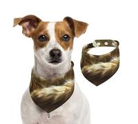 Bandana double face en coton pour chien, fille, garçon, lavable, motif « A Little Cat Resting Under The Warm Sunshine » pour chiens et chats de petite, moyenne et grande taille, unisexe