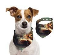 Bandana double face en coton pour chien, fille, garçon, lavable, motif « A Little Cat Sleeping in the Sunshine » pour chiens de petite, moyenne et grande taille, unisexe, pour chiens, chats, animaux