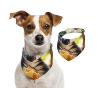 Bandana double face en coton pour chien, fille, garçon, lavable, motif lémurien mangeant du pain, bavoirs pour chiens de petite, moyenne et grande taille, unisexe, pour chiens, chats, animaux de