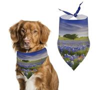 Bandana élégant pour chats et chiens, écharpe triangulaire imprimée paysage du Texas, léger et durable, parfait pour un usage quotidien ou des événements spéciaux