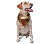 Bandana en forme de cônes de bière et de houblon pour chien de petite et moyenne taille, accessoire photo, bandanas triangulaires réglables et lavables