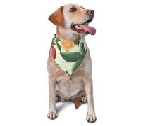 Bandana en forme de plantes et de fruits pour chiens de petite et moyenne taille, accessoire photo, bandanas triangulaires réglables et lavables pour chien