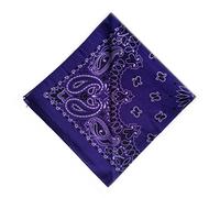 Bandana Hav-A-Hank - Violet