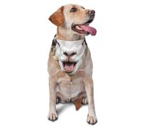 Bandana humoristique avec langue de mouton coquine pour chien et chat de petite et moyenne taille, accessoire photo, bandana triangulaire réglable lavable pour chien