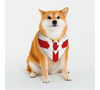 Bandana imprimé drapeau de l'Irlande du Nord pour chiens et chats, tissu élastique doux respirant pour un usage quotidien