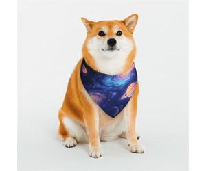 Bandana imprimé illusion galactique pour chiens et chats, tissu élastique doux respirant pour un usage quotidien