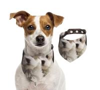Bandana maltais mignon pour chiot, bandanas d'été pour chiens, lavables, réglables et triangulaires, bavoirs mignons pour chiens de taille moyenne et grande taille, chiots et chats de petite taille