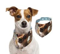 Bandana marron pour chien avec ailes d'ange pour chihuahua, écharpe réglable pour animaux de compagnie, bandanas lavables double face pour animaux de compagnie, foulard triangulaire en coton pour