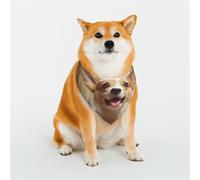 Bandana mignon pour chien Corgi - Grande écharpe triangulaire réglable - Double écharpe réversible lavable - Mouchoir quotidien pour chien de taille moyenne et grande - Cadeau