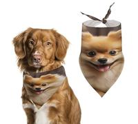 Bandana mignon pour chien de Poméranie en coton doux lavable au quotidien en été durable Triangle réversible Convient pour les chiens et chats de petite, moyenne et grande taille