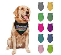 Bandana personnalisé pour chien avec nom ou photo - Écharpe triangulaire douce - Cadeau amusant pour chiens et chats de petite, moyenne et grande taille (motif 2)