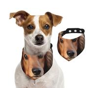 Bandana pour chien à poils longs Teckel - Réglable - Lavable - Double face - En coton - Triangle - Pour chien et chat - Accessoires de costume pour chiot - Taille L