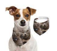 Bandana pour chien amusant et chat - Réglable - Lavable - Double face - En coton - Triangle - Pour chiens et chats - Accessoires de costume pour chiot - Taille S