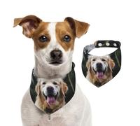 Bandana pour chien amusant Golden Retriever - Réglable - Lavable - Double face - En coton - Triangle - Pour chiens et chats - Accessoires de costume pour chiot - Taille L