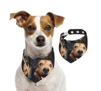 Bandana pour chien amusant pour chiot et animal domestique - Réglable - Lavable - Double face - En coton - Triangle - Écharpe pour chien et chat - Accessoires de costume pour chiot - Taille M