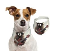 Bandana pour chien amusant raton laveur - Écharpe réglable pour animaux de compagnie - Bandana lavable double face en coton triangulaire pour chien et chat - Accessoires de costume pour chiot - Taille