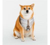 Bandana pour chien aquarelle Paris - Bandana réglable pour animaux de compagnie - Écharpe triangulaire douce et respirante pour chats de petite, moyenne et grande taille