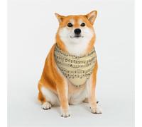 Bandana pour chien avec notes de musique sur vieux papier - Bandana réglable pour animaux domestiques de Noël - Bavoirs triangulaires doux et respirants pour chats de petite, moyenne et grande taille