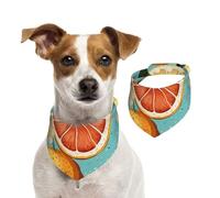Bandana pour chien avec peinture aux agrumes - Écharpe réglable pour animaux domestiques - Bandana lavable double face en coton - Triangle - Écharpe pour chien et chat - Accessoires de costume pour