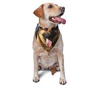 Bandana pour chien berger allemand - Accessoire pour chiens de petite et moyenne taille - Accessoire photo - Bandana triangulaire réglable - Lavable - Pour chien