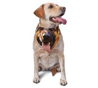 Bandana pour chien berger allemand Happy - Accessoire pour chiens de petite et moyenne taille - Accessoire photo - Bandana triangulaire réglable - Lavable - Pour chien