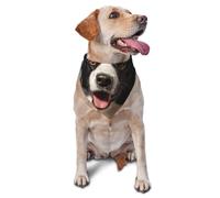 Bandana pour chien Border Collie - Accessoires pour chiens de petite et moyenne taille - Accessoire photo - Bandana triangulaire réglable - Lavable - Pour chien