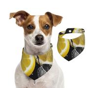 Bandana pour chien citron avec écharpe noire et blanche réglable pour animaux de compagnie, bandanas lavables double face en coton pour animaux de compagnie, écharpes triangulaires pour chien, chats