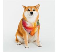 Bandana pour chien coloré motif aquarelle pêche petite écharpe réglable triangle bavoirs double foulard réversible lavable mouchoir quotidien pour chien de taille moyenne et grande taille cadeau
