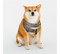 Bandana pour chien de chantier - Petit bandana réglable pour chien - Bavoirs triangulaires réversibles - Lavable - Mouchoir quotidien pour chien de taille moyenne et grande - Cadeau